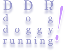 DDR!