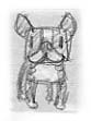 dog1