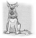 dog2