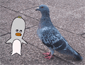 20041201