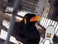 20050518