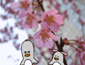 20060329